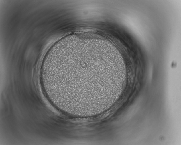 X0000101990049200808151433