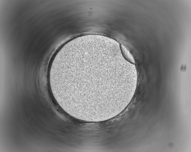 X0000101990050200808151433
