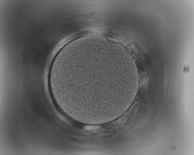 X0000101990051200808151433