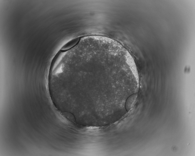X0000101990052200808151433