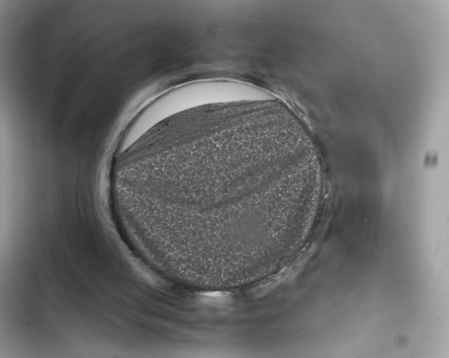 X0000101990053200808151433
