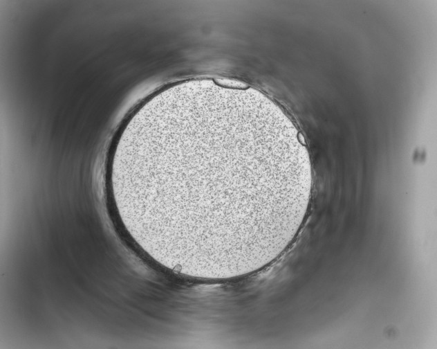 X0000101990054200808151433