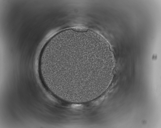 X0000101990055200808151433