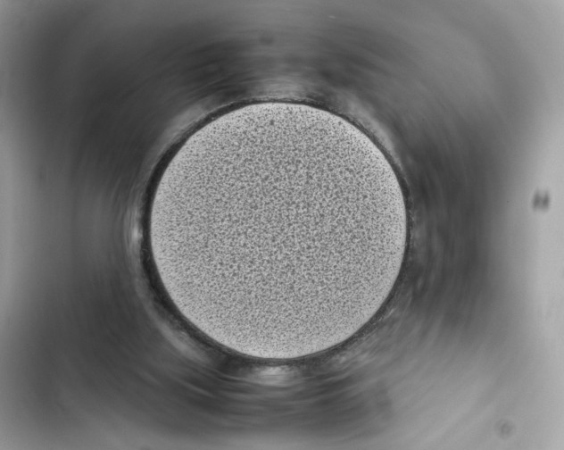 X0000101990059200808151433