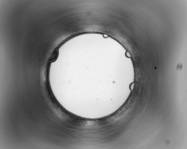 X0000101990060200808151433