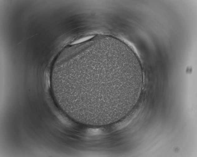 X0000101990061200808151433