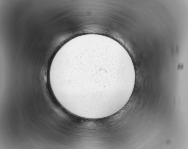 X0000101990062200808151433