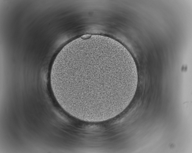 X0000101990063200808151433
