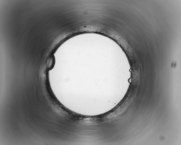 X0000101990064200808151433