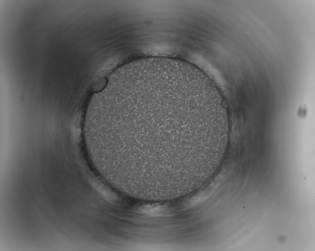 X0000101990065200808151433