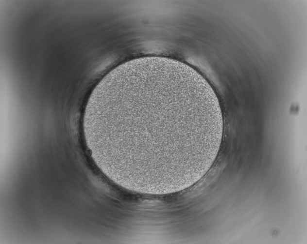 X0000101990066200808151433