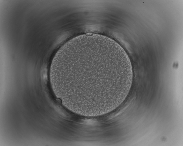 X0000101990067200808151433