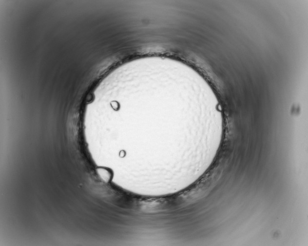 X0000101990068200808151433