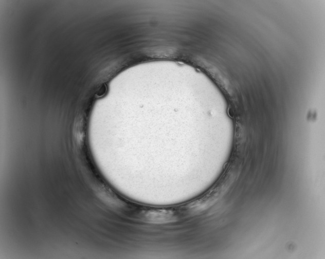 X0000101990069200808151433