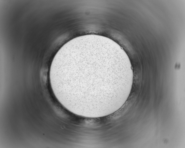 X0000101990070200808151433