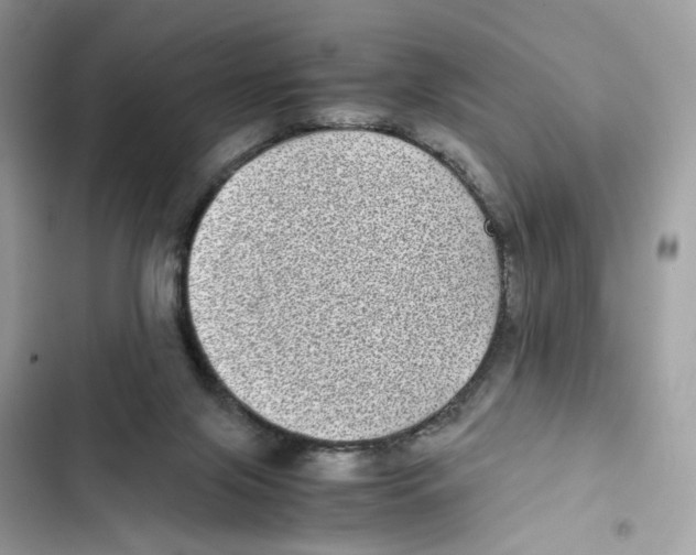 X0000101990071200808151433