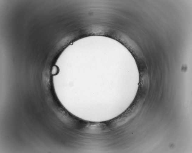 X0000101990072200808151433