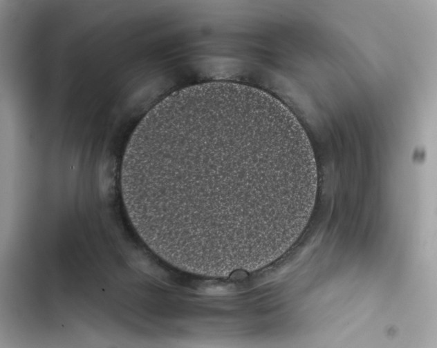 X0000101990073200808151433