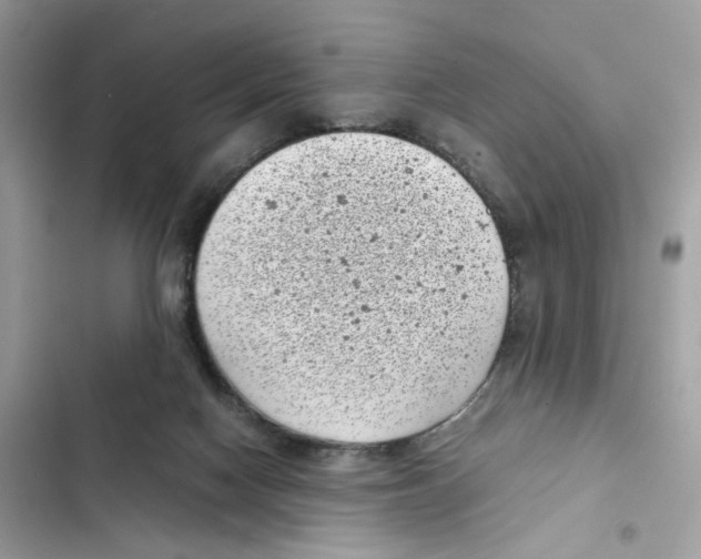 X0000101990074200808151434