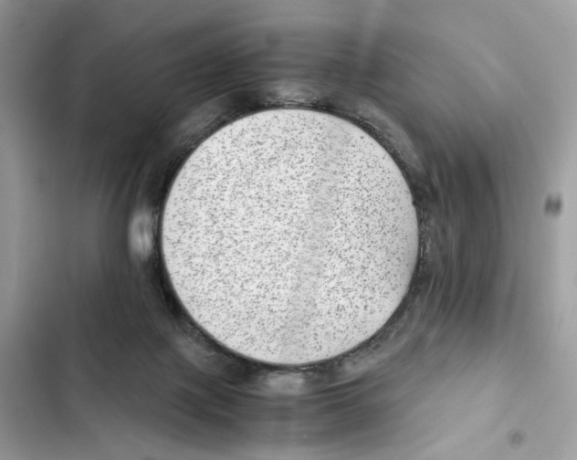 X0000101990075200808151434