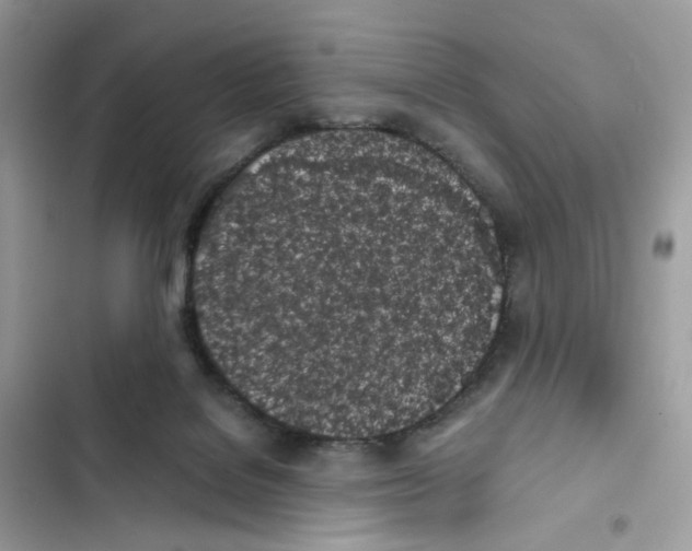 X0000101990076200808151434