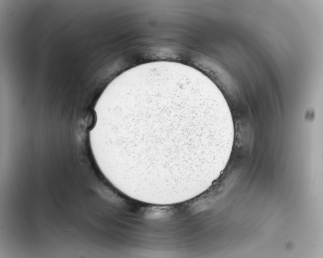 X0000101990077200808151434