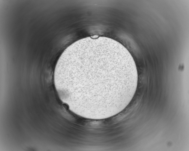 X0000101990081200808151434