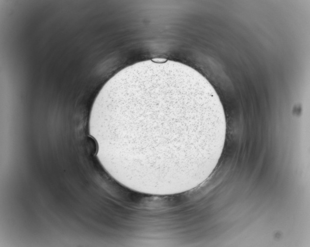 X0000101990082200808151434