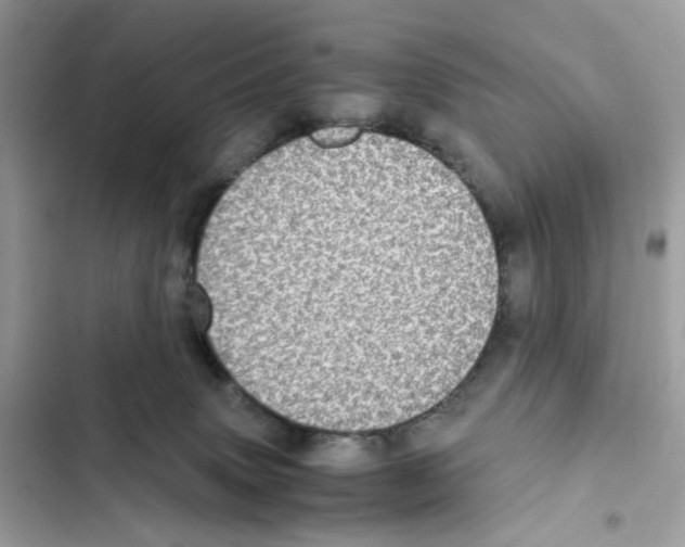 X0000101990083200808151434