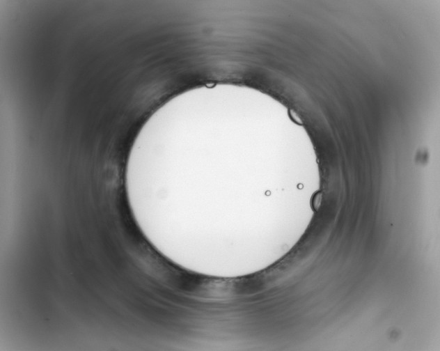 X0000101990084200808151434