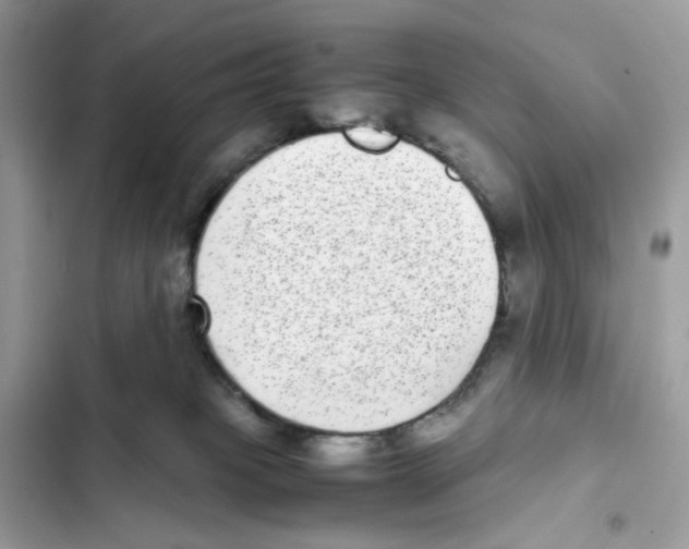 X0000101990085200808151434