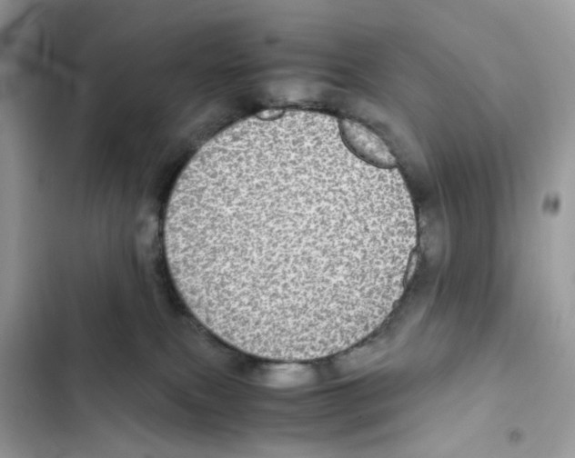 X0000101990087200808151434