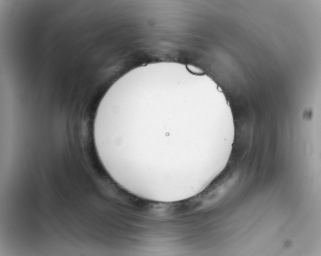 X0000101990088200808151434