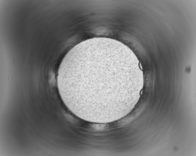 X0000101990089200808151434