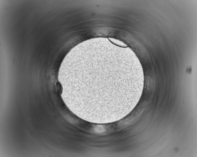 X0000101990091200808151434