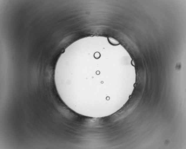 X0000101990092200808151434