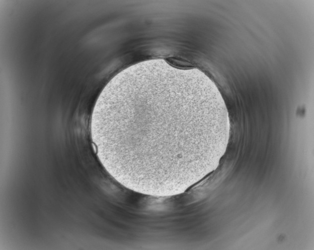 X0000101990093200808151434
