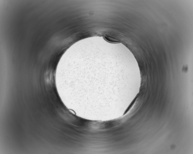 X0000101990094200808151434