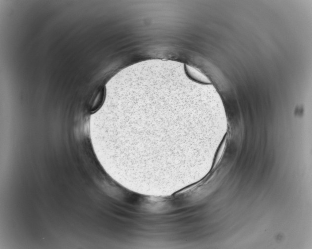 X0000101990095200808151434