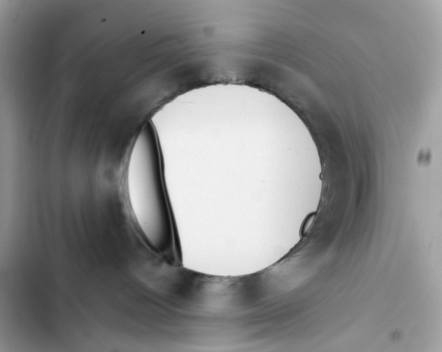 X0000101990096200808151434