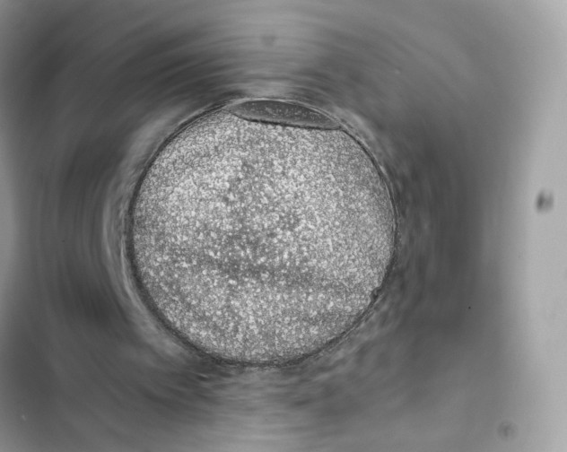 X0000101990097200808151433