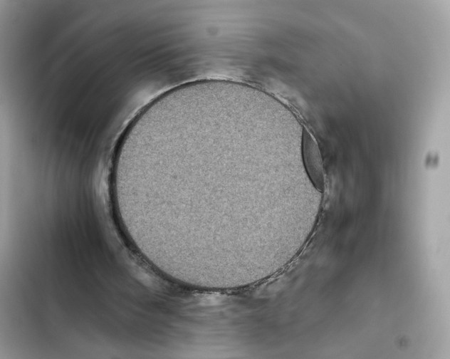 X0000101990098200808151433