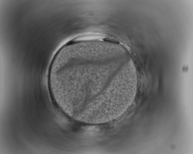 X0000101990100200808151433