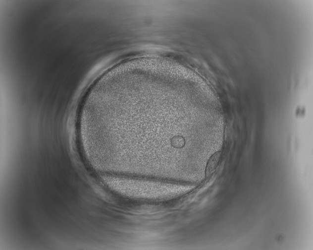 X0000101990101200808151433