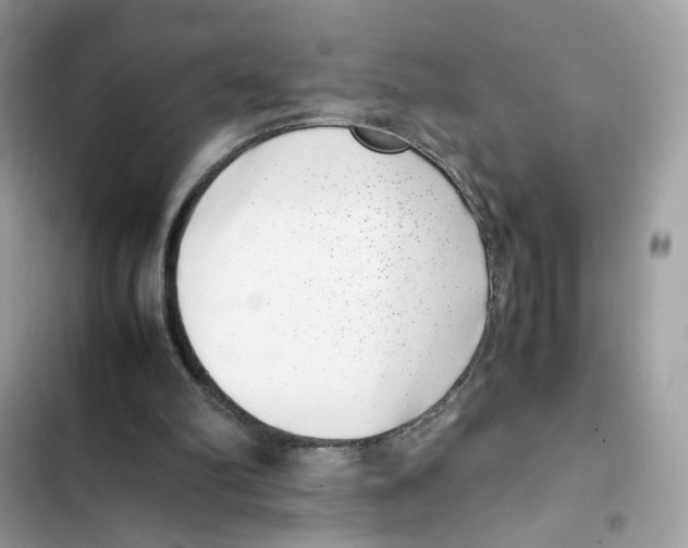 X0000101990102200808151433