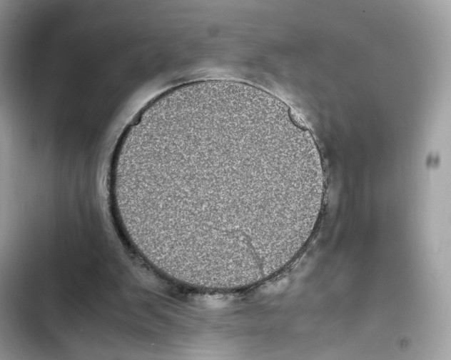 X0000101990103200808151433
