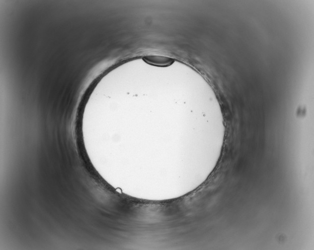 X0000101990104200808151433
