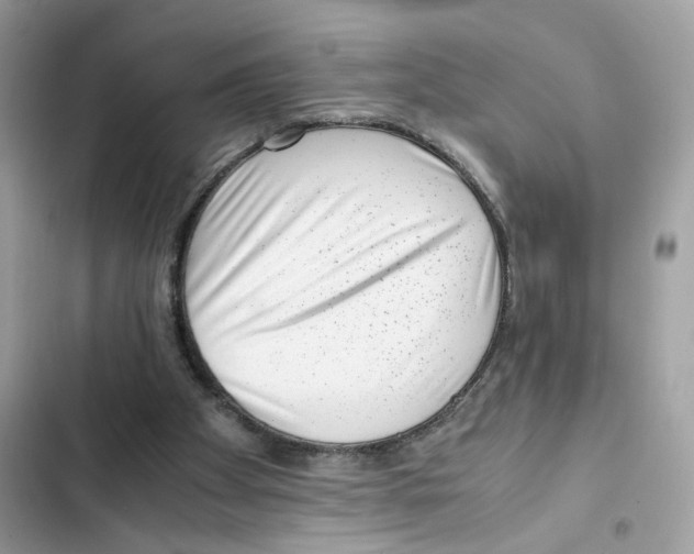 X0000101990105200808151433