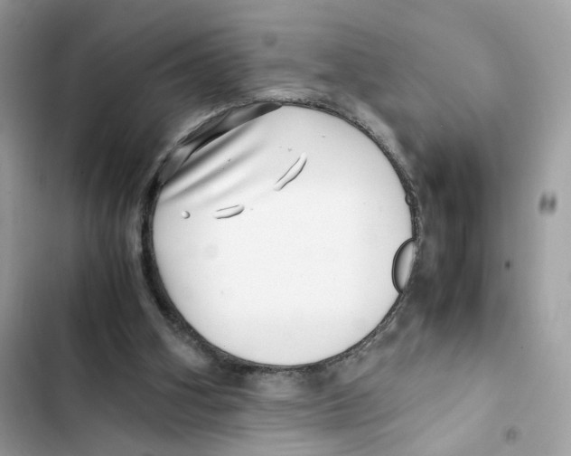 X0000101990106200808151433