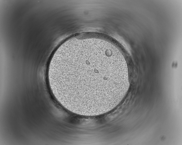 X0000101990107200808151433